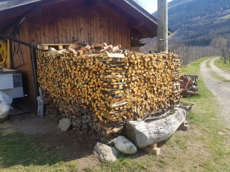Holz vor der Hütte: Unser Barmann bereitet sich schon mal auf den Winter vor...